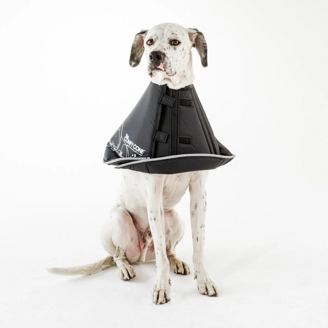 Comfy Cone Black 20 Comfy Cone Black - Afbeelding 18