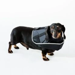 Comfy Cone Black 32 Comfy Cone Black -Producten Voor Huisdieren CCSL 3