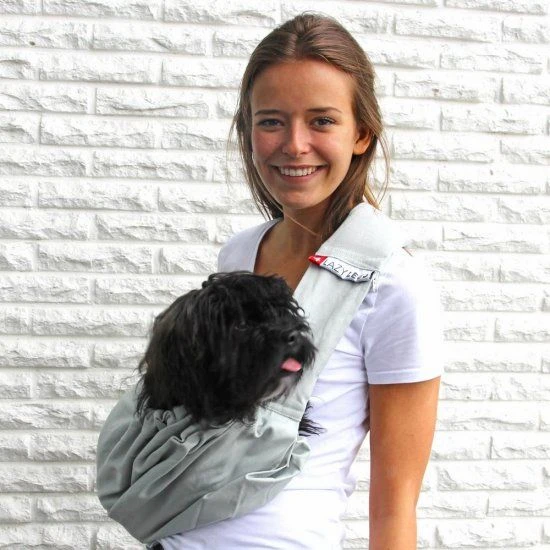 4LazyLegs Hondendraagtas Canvas Grijs XS 3 4LazyLegs Hondendraagtas Canvas Grijs XS