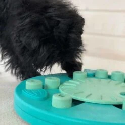 Nina Ottosson Hondenpuzzel Dog Worker Composiet 7 Nina Ottosson Hondenpuzzel Dog Worker Composiet -Producten Voor Huisdieren image 1457