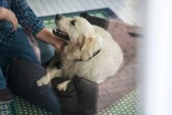 Hunter Hondenmand Boston Bruin 8 Hunter Hondenmand Boston Bruin -Producten Voor Huisdieren image 1641