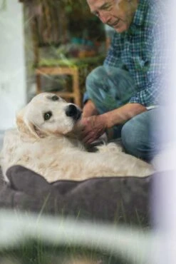 Hunter Hondenmand Boston Bruin 9 Hunter Hondenmand Boston Bruin -Producten Voor Huisdieren image 1642