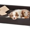 Silvio Design Hondensofa Candy Donkerbruin -Producten Voor Huisdieren image 1644