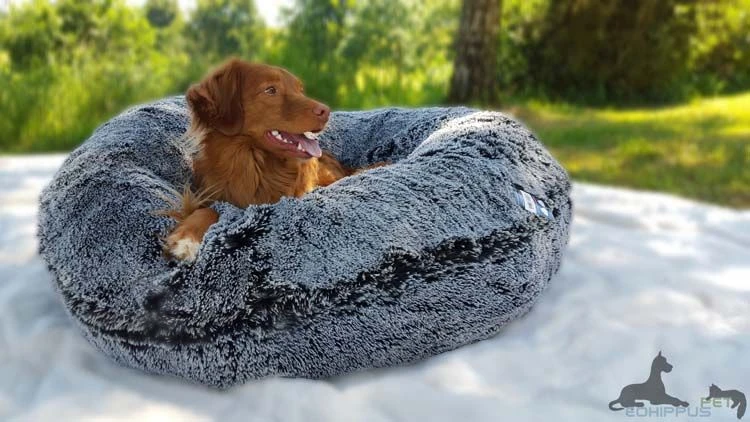 Bessie And Barnie Hondenmand Bagel Midnight Frost 3 Bessie And Barnie Hondenmand Bagel Midnight Frost