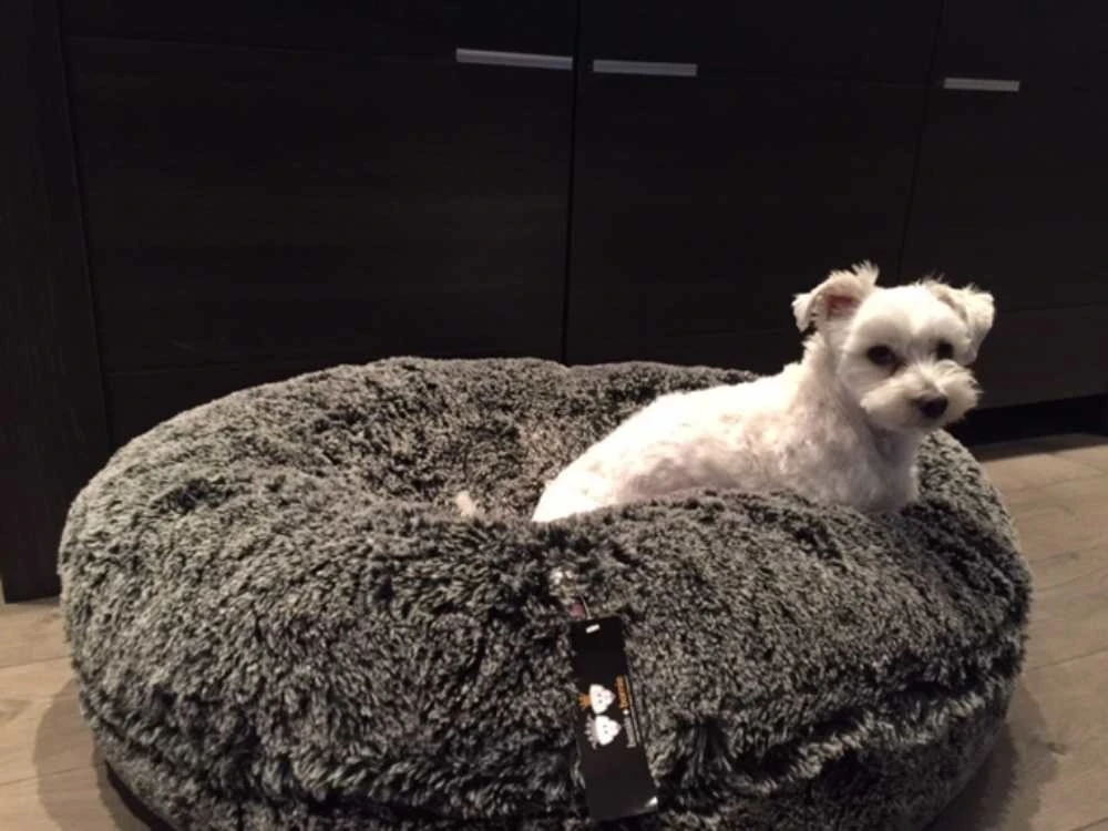 Bessie And Barnie Hondenmand Bagel Midnight Frost 5 Bessie And Barnie Hondenmand Bagel Midnight Frost - Afbeelding 3