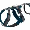 Hunter Veiligheidsharnas Maldon Teal 1 Hunter Veiligheidsharnas Maldon Teal -Producten Voor Huisdieren image 1666