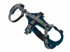 Hunter Veiligheidsharnas Maldon Teal -Producten Voor Huisdieren image 1670