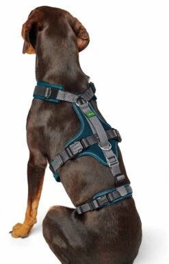 Hunter Veiligheidsharnas Maldon Teal -Producten Voor Huisdieren image 1671
