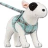 Doxtasy Hondentuig Comfy Harnass Scottish Turquoise -Producten Voor Huisdieren image 1703