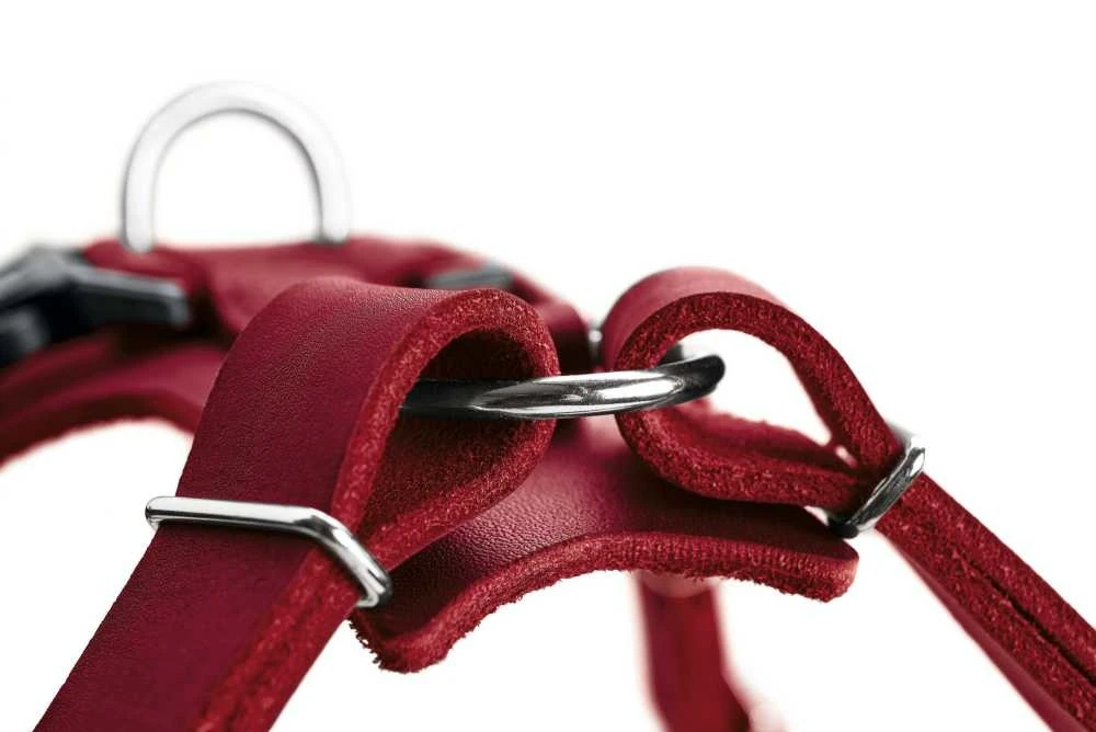 Hunter Hondentuig Aalborg Rood 5 Hunter Hondentuig Aalborg Rood - Afbeelding 3