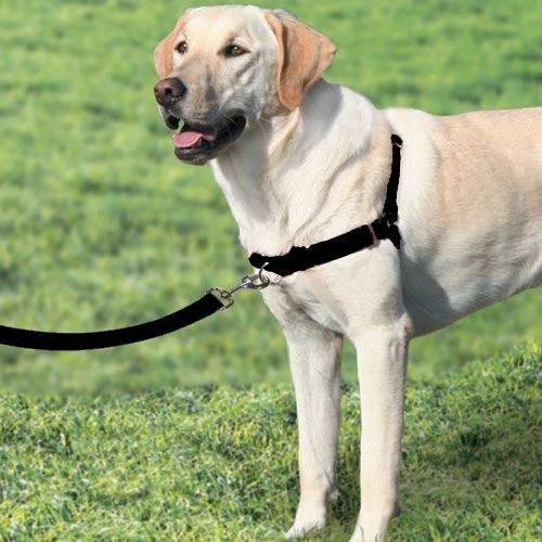 Petsafe Anti-Trek Hondentuig Easy Walk ® Zwart 5 Petsafe Anti-Trek Hondentuig Easy Walk ® Zwart - Afbeelding 3
