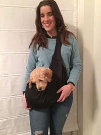 4LazyLegs Hondendraagtas Basic Zwart 6 4LazyLegs Hondendraagtas Basic Zwart - Afbeelding 4