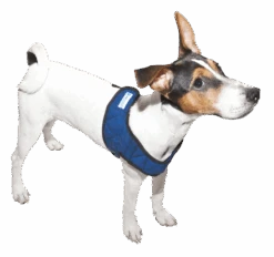 Aqua Coolkeeper Koel Harnas Comfy Pacific Blue