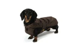 Fashion Dog Hondenjas Teckel Bruin