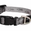 Rogz Hondenhalsband Alpinist Platinum 2 Rogz Hondenhalsband Alpinist Platinum -Producten Voor Huisdieren image 600