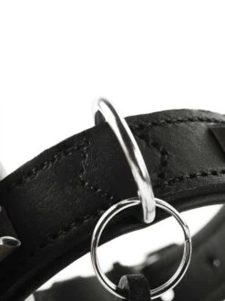 Hunter Hondenhalsband Larvik Style Zwart 9 Hunter Hondenhalsband Larvik Style Zwart -Producten Voor Huisdieren image 651