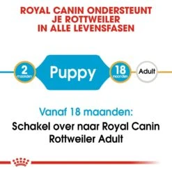 Royal Canin Hondenvoer Rottweiler Puppy 12 Kg 9 Royal Canin Hondenvoer Rottweiler Puppy 12 Kg -Producten Voor Huisdieren royal canin rottweiler junior pup hond rottweiler hero image 9