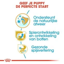 Royal Canin Hondenvoer Rottweiler Puppy 12 Kg 8 Royal Canin Hondenvoer Rottweiler Puppy 12 Kg -Producten Voor Huisdieren royal canin rottweiler junior pup hond rottweiler hero usp